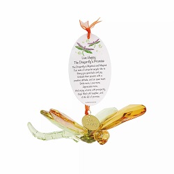 LiveHappyDragonfly1Small