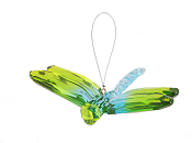 TwoToneDragonfly3Little