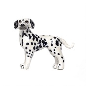 DalmatianLittle