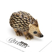 HedgehogLittle